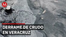 Derrame de petróleo afecta ecosistemas en playas del sur de Veracruz