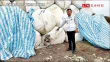 台中耗資1.3億垃圾太空包 遭老鼠野狗啃破恐滋生傳染