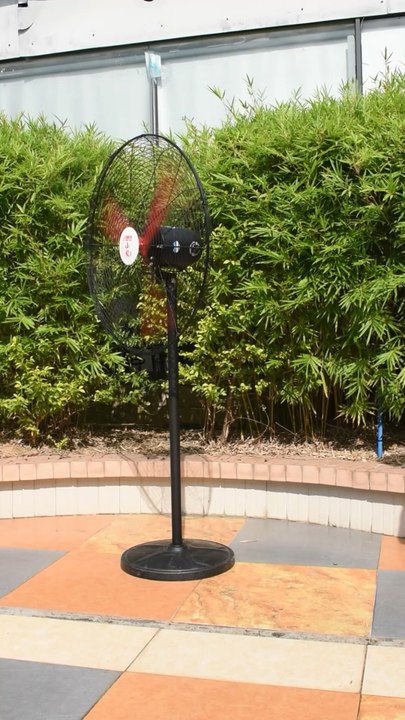 Mingletec BL DC 20 26 30 inch Industrial stand fan#hotsellproduct #industrial #fan #fyp
