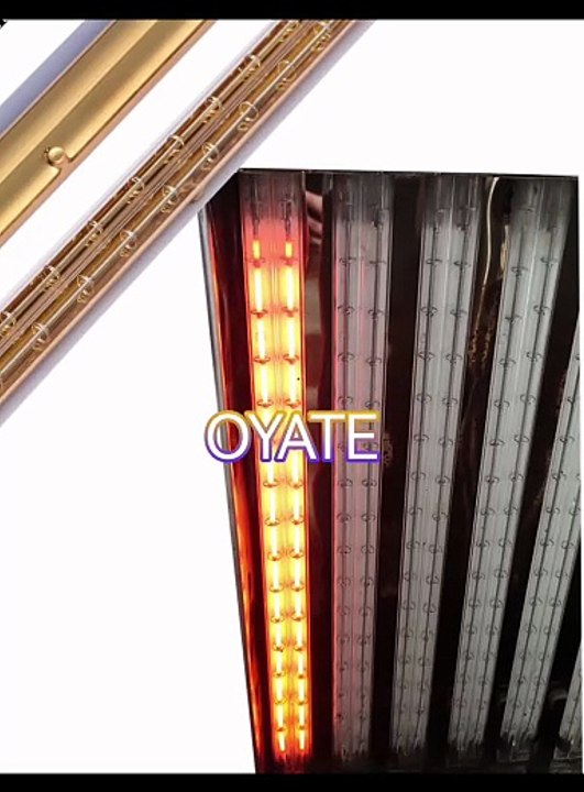 Twin tubes halogen heating lamps ir emitters 630mm 220v 3000w Shortwave Heating Lamp