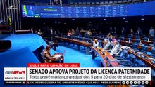 Senado aprova projeto da licença paternidade