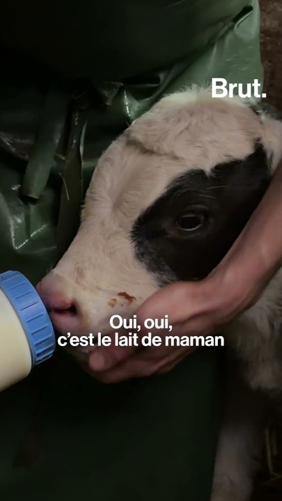 Fiona se forme pour avoir sa propre ferme