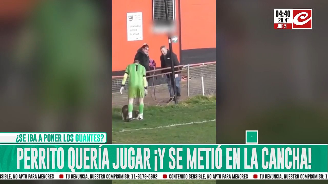 Perrito quería jugar ¡Y se metió en la cancha!