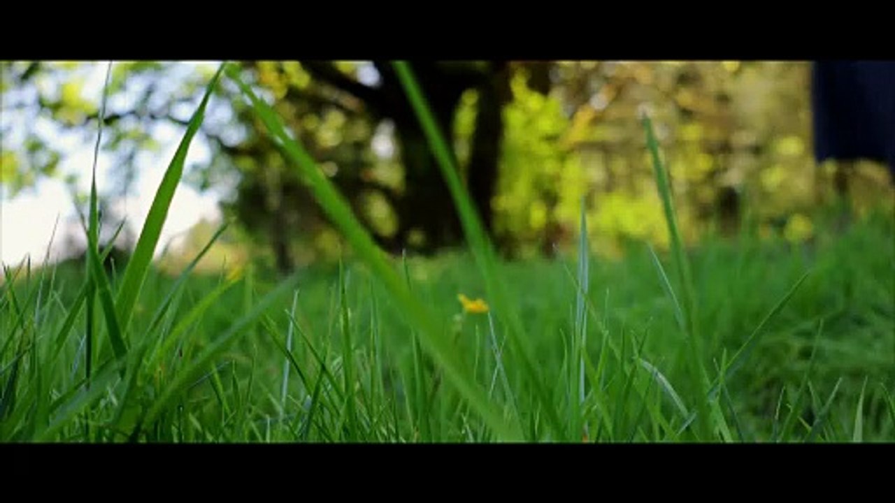 Tailbone | movie | 2025 | Official Teaser