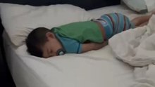 Tiny tot discovers friendship and comfort in his family's first puppy