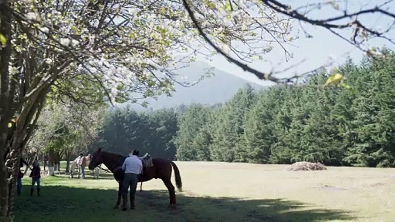 HERMANAS UN AMOR COMPARTIDO | CAPÍTULO 22 COMPLETO