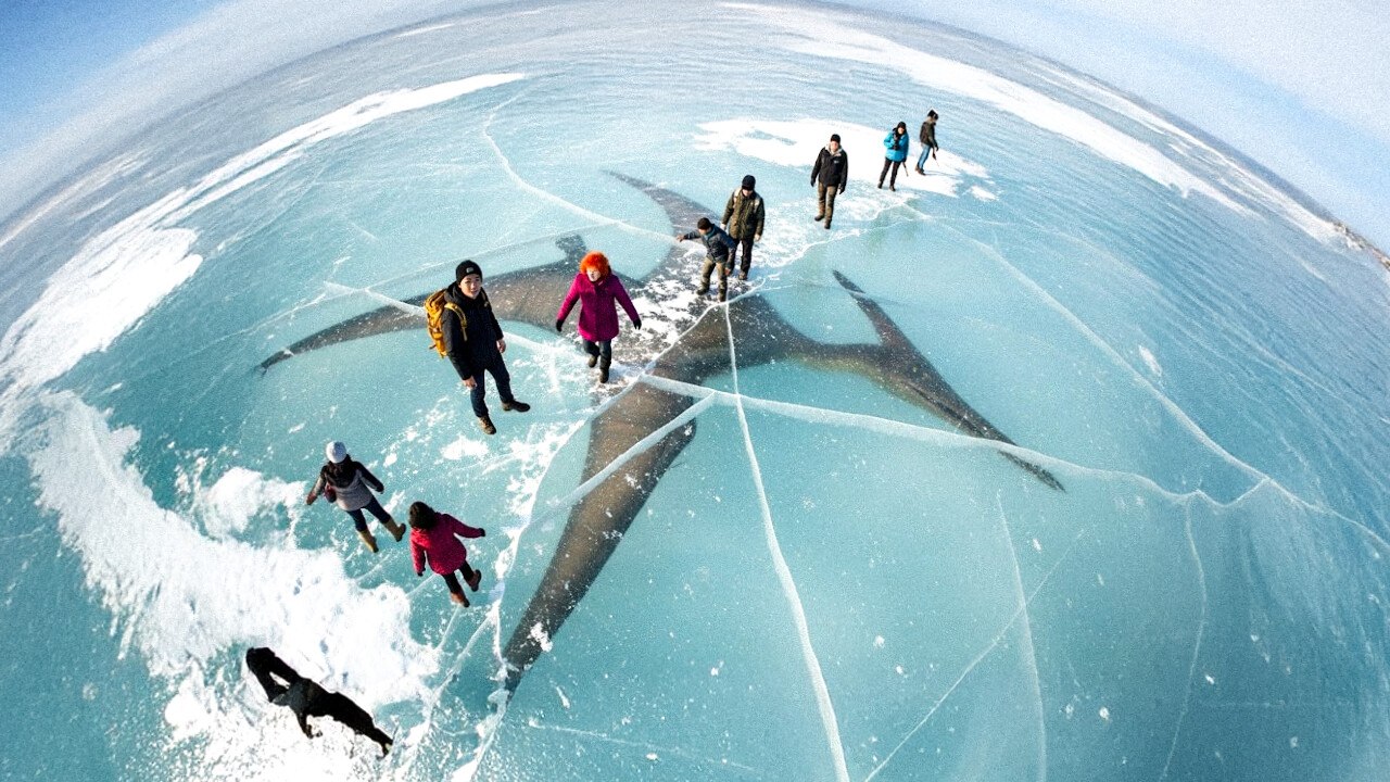 Monstre préhistorique retrouvé congelé et autres découvertes étonnantes dans la glace