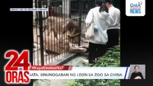Bata, sinunggaban ng leon sa zoo sa CHINA | 24 Oras