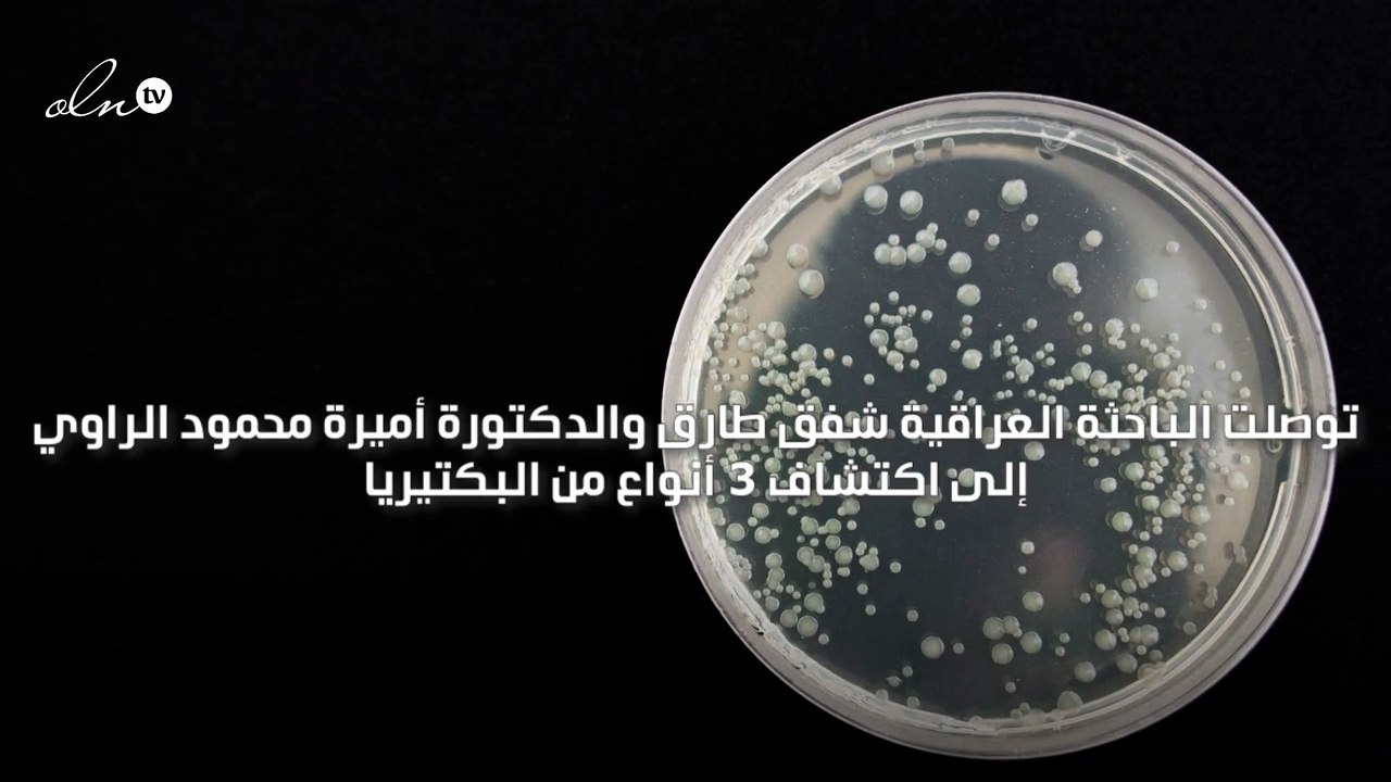 عالمتان عراقيتان تكتشفان أنواع بكتيريا تمتلك القدرة على إنتاج رقائق الذهب