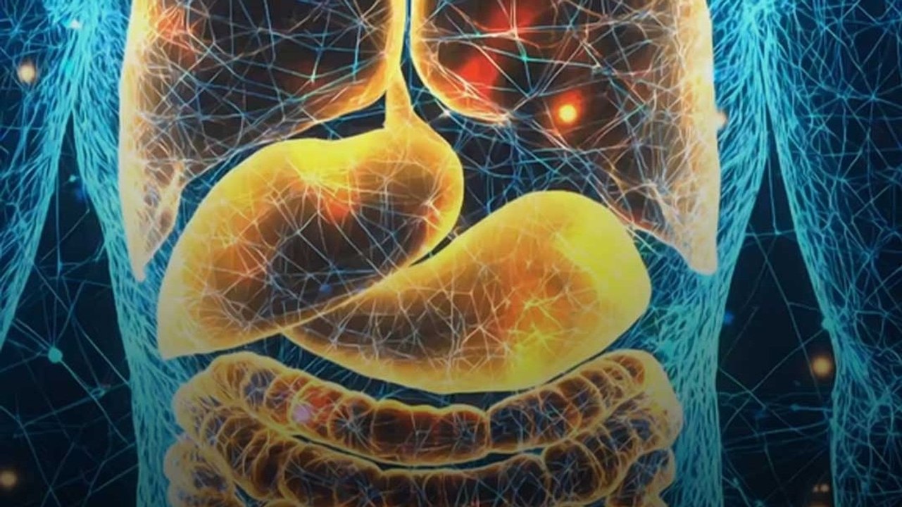 क्यों फैल रहा है नॉन अल्कोहलिक फैटी लिवर डिजीज?