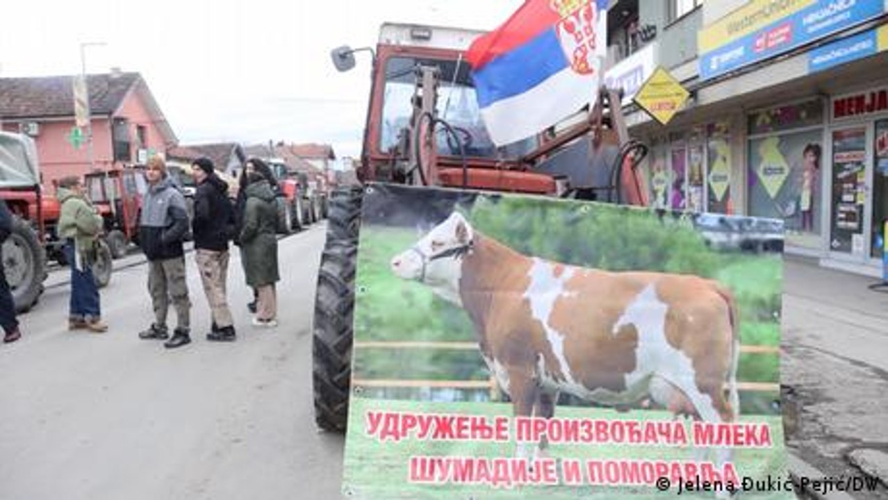Milchpreise kollabieren: Protestwelle in Serbien