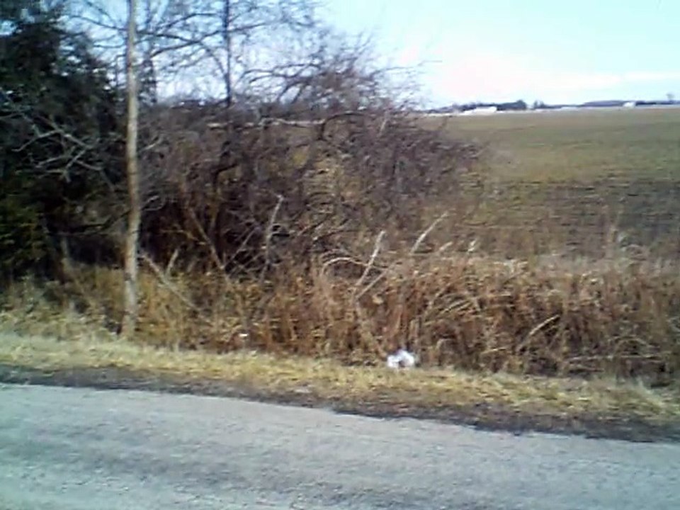 8 mile Bay county mi hickhop