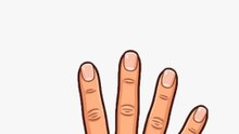 Lerne, wie die Finger heissen