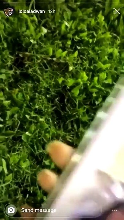 الفتاة التي ظهرت مع شاب يقبل يدها تهدد في فيديو كل من أساء إلى سمعتها