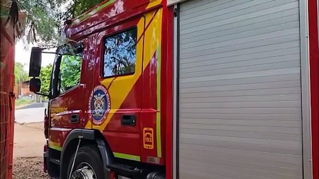 Árvore cai e atinge carro na Rua Mawes