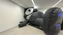 Mark Leckey: Inflatable Felix / Marciano Art Foundation Los Angeles