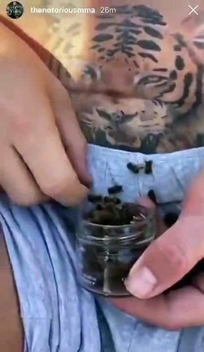 ماكغريغور يشعل مواقع التواصل بفيديو له وهو يأكل النحل