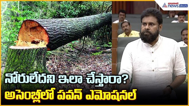 Pawan Kalyan: డిప్యూటీ సీఎం సంచలన నిర్ణయం | Asianet News Telugu