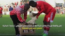 هداف كرة أفريقي يتلقى "دجاجة" تقديرًا لأدائه... تعرف إلى التفاصيل