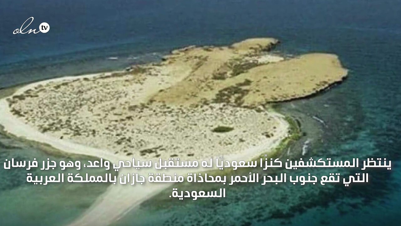 وسط البحر الأحمر... "كنز سعودي" في انتظار المستكشفين