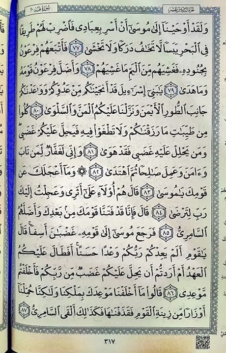 صفحة (317)
