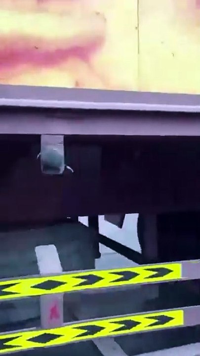 شاهد بالفيديو: ثور هائج في أحد شوارع سلطنة عمان!