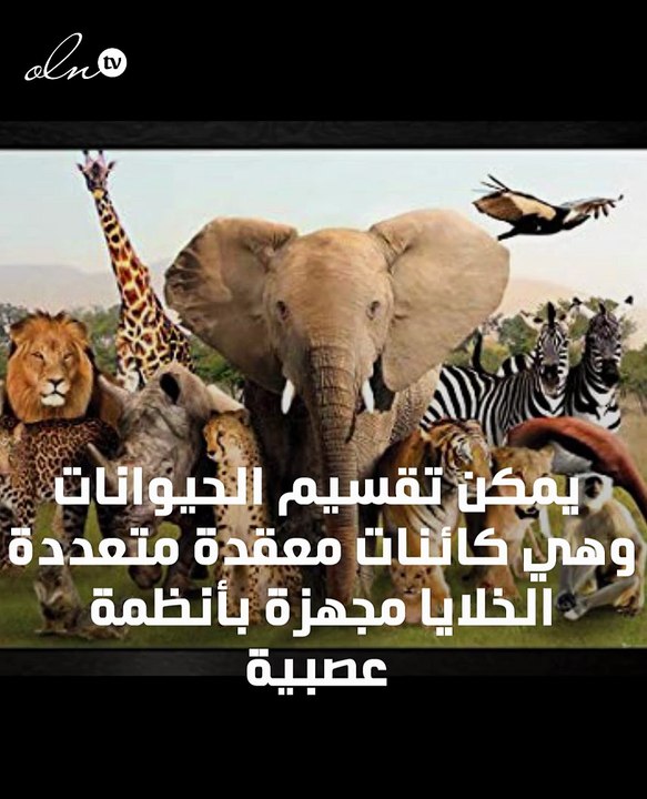 انواع الحيوانات