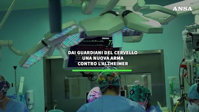 Dai guardiani del cervello una nuova arma contro l'Alzheimer