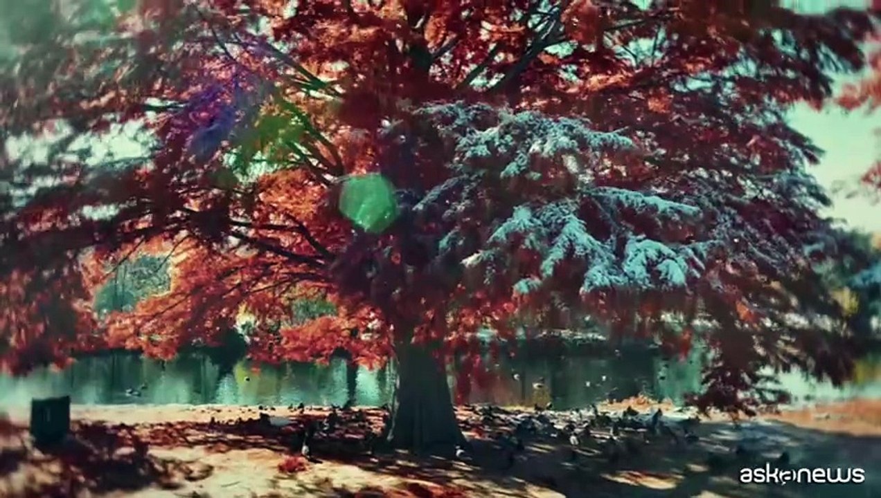 Lillo in "La pelle del mondo": etica, ecologia e botanica per tutti