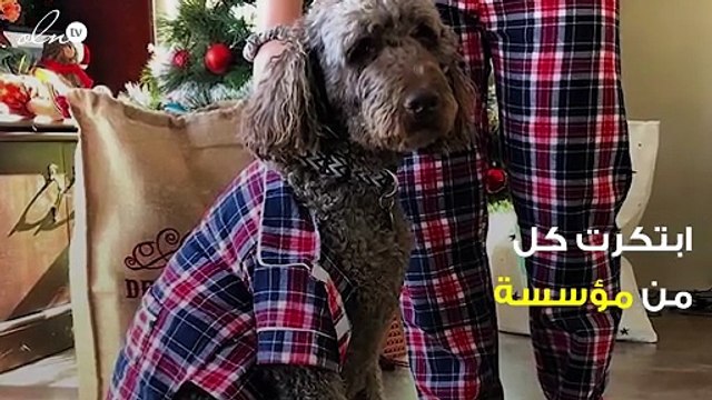 لمحبي الحيوانات الأليفة: ملابس نوم متطابقة لكم ولهم