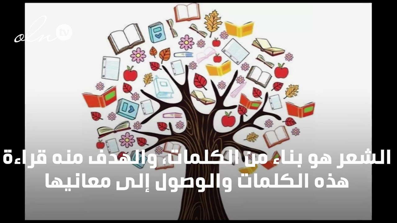 بيت شعر عن اهمية القراءة