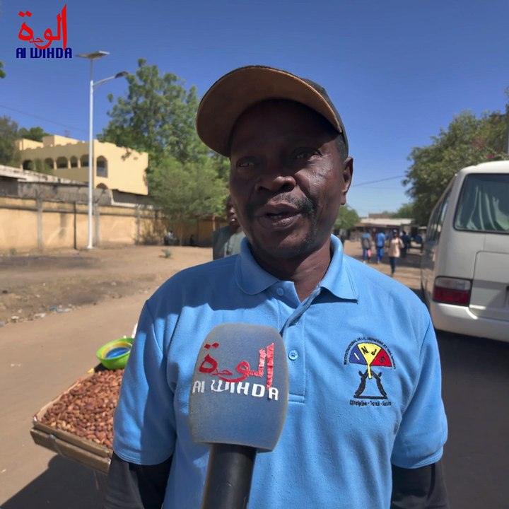 Tchad : « L’enseignement supérieur sera par terre », la démission du ministre d’État Tom Erdimi suscite des réactions