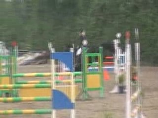 Ottawa matin  la belle fleur chute le 31mai08