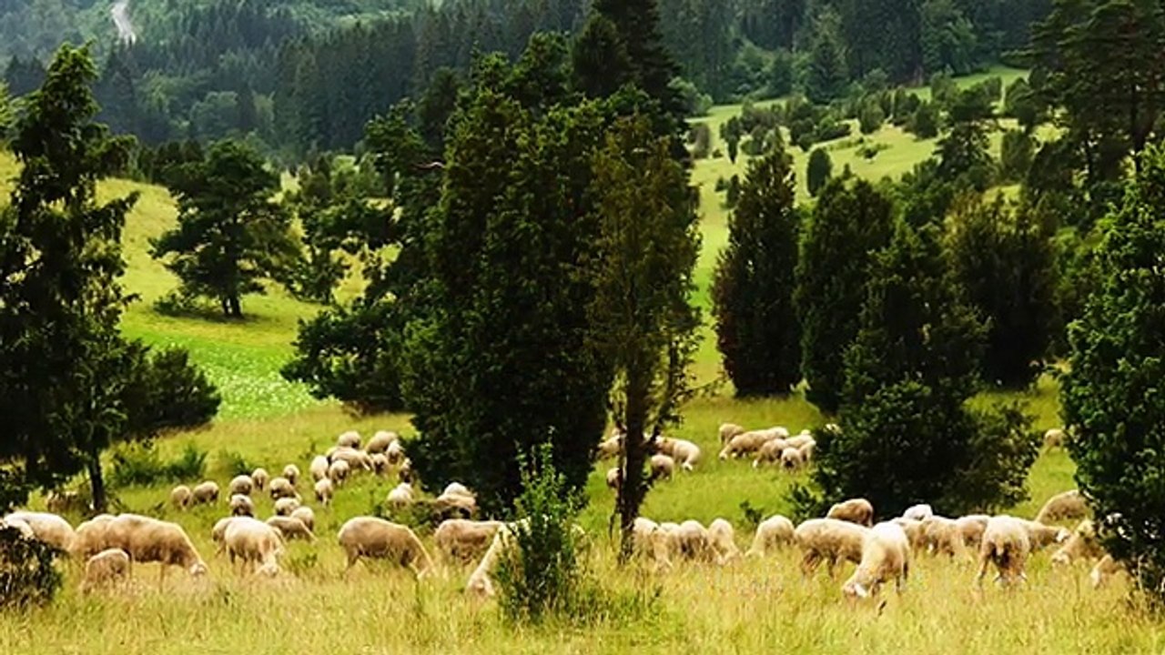 Windkraft auf der Schwäbischen Alb Unwiederbringlicher Landschaft droht historis