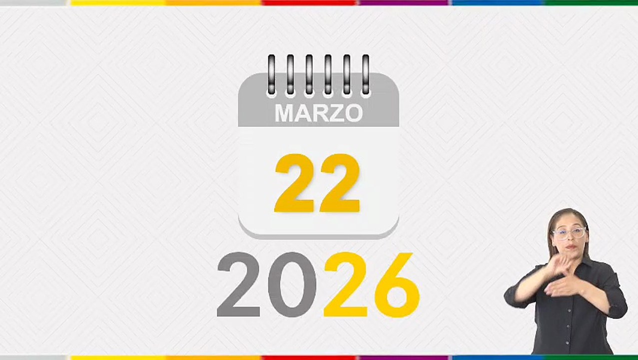 ELECCIONES SUBNACIONALES