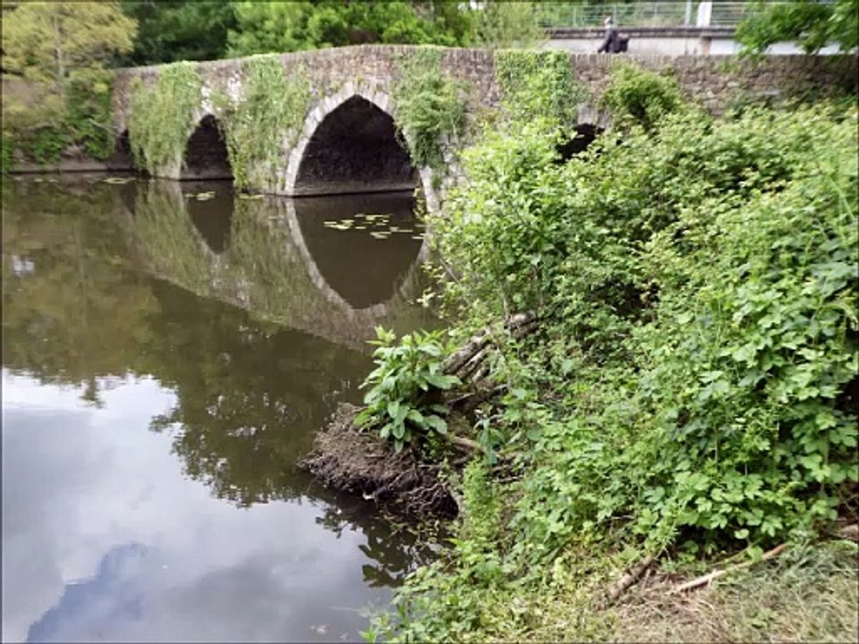 Ponts