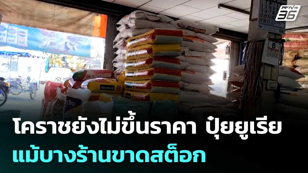 โคราชยังไม่ปรับขึ้นราคา ปุ๋ยยูเรีย แม้บางร้านขาดสต็อก | จับข่าวคุย | 6 มี.ค. 69