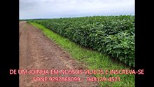 FAZENDA COM 1117 ALQUEIRÃO A VENDA CMC