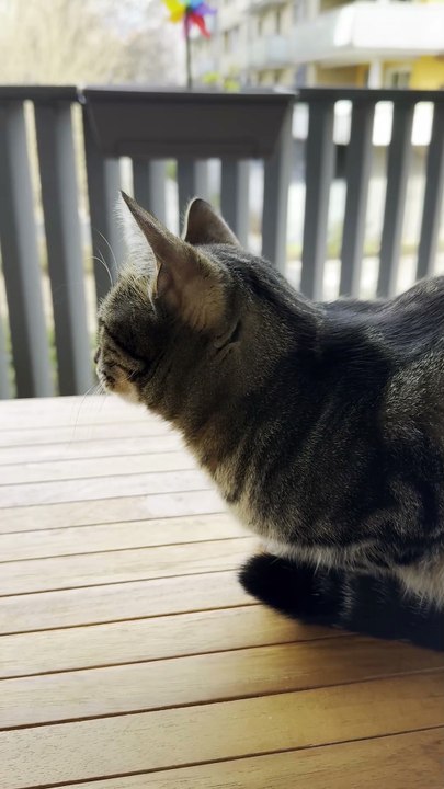 Chilling outside