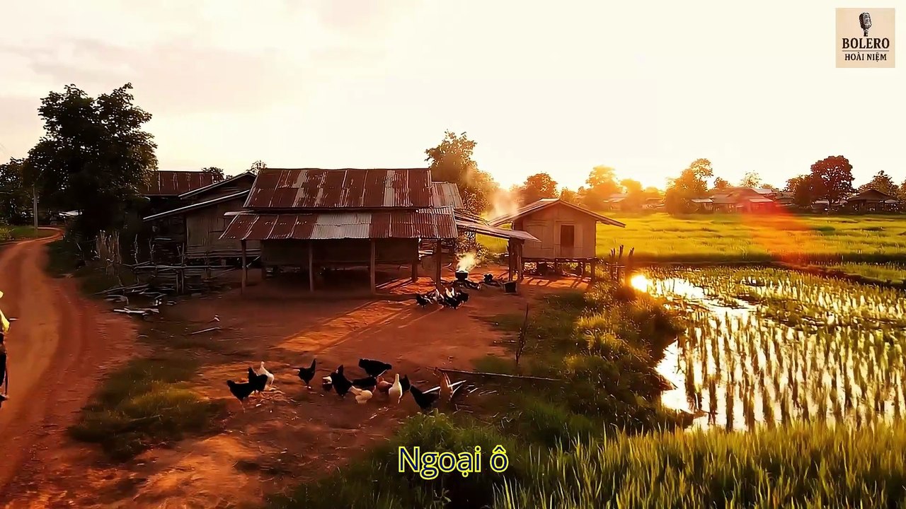 TÌNH SAY NGOẠI Ô (MV OFFICIAL)|  BOLERO HOÀI NIỆM