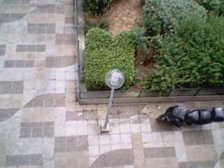 Vidéo webcam Microsoft LifeCam VX-3000 2