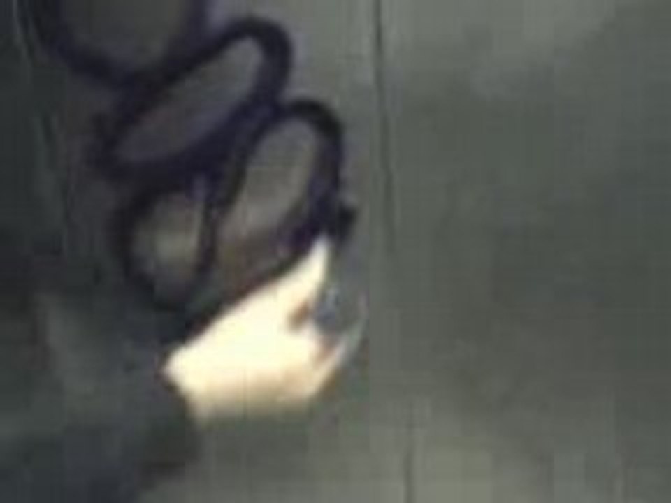 DOSBA GRAFFITI