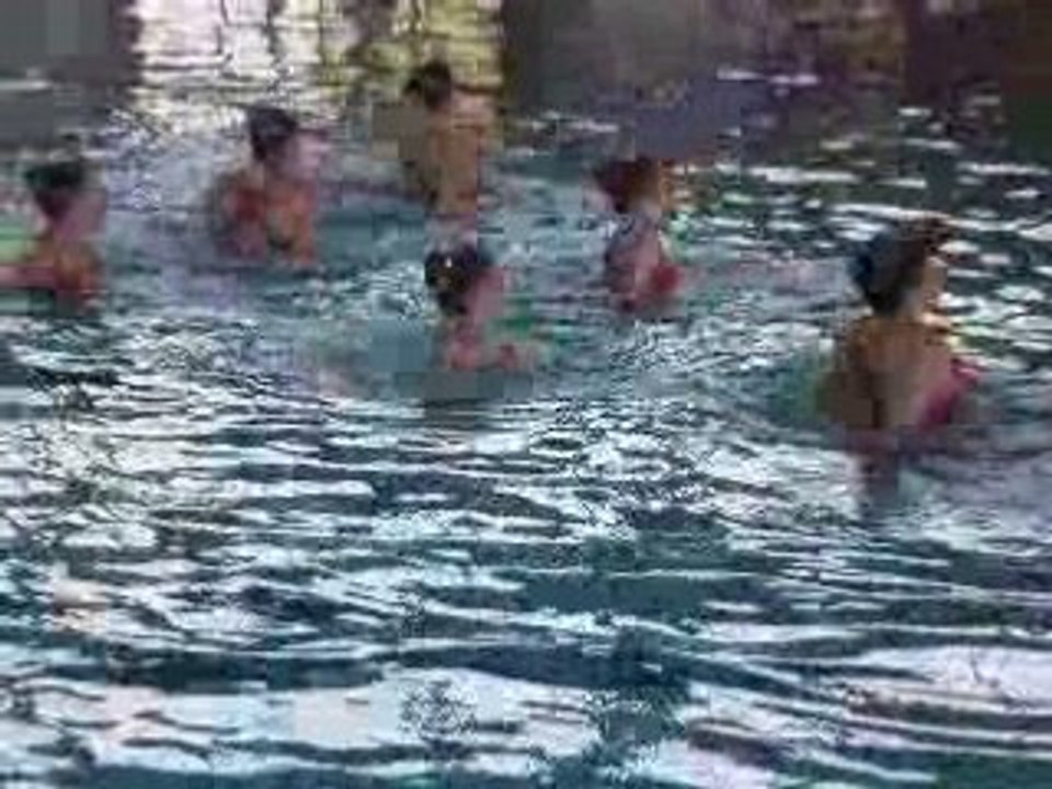 ballet promo minimes chenôve 2008