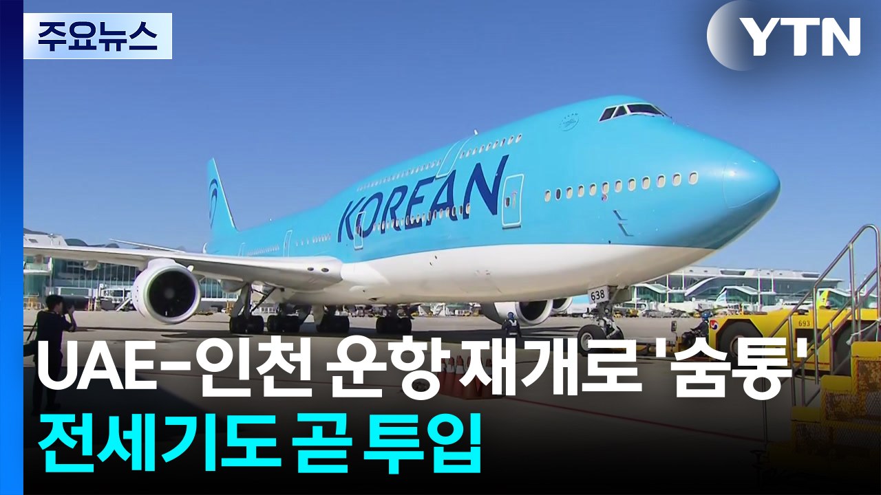 UAE-인천 운항 재개로 '숨통'...전세기도 곧 투입 / YTN