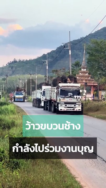 ขบวนช้าง มากันตั้้งหลายคัน น้อง ๆ จะไปไหนกันน้า ?