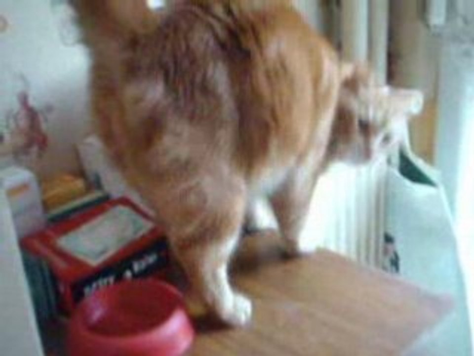 Ma Petite Ma Famille