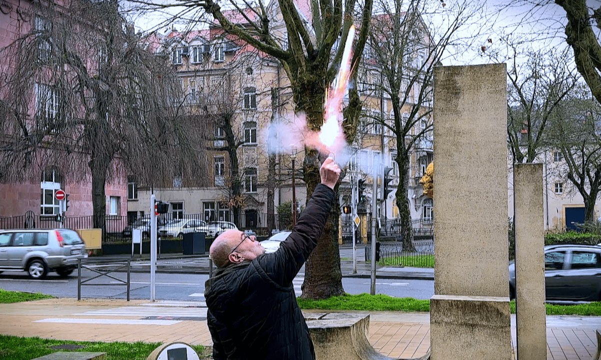 Difficile cohabitation entre citadins et animaux en Moselle : qui sont les vrais nuisibles ?