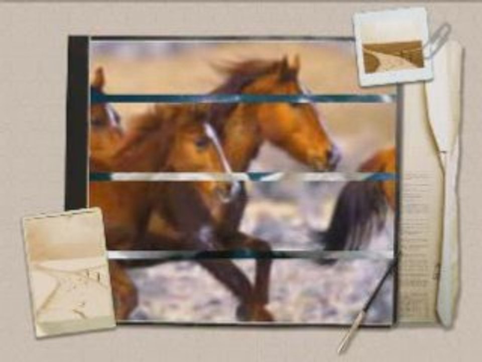 ILIQ ANGELOV & MILICA SKUPA MOQ,SKUPI MOI