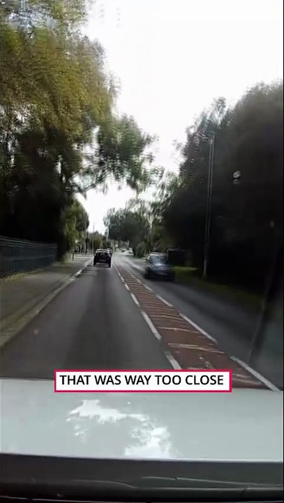 This Cat Really Ran in Front of a Car 😳🐱 || ItsNowViral