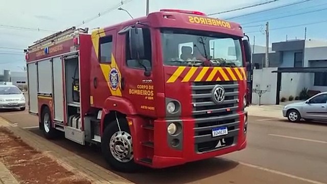 Filhote de lagarto invade residência e mobiliza Corpo de Bombeiros em Cascavel